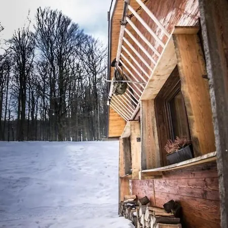 Blockhaus Ferienhaus *